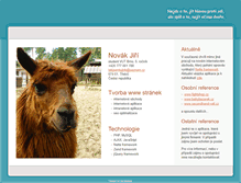 Tablet Screenshot of jirinovak.com